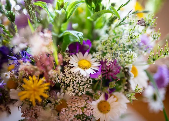 Vakantiehuis Fratte *